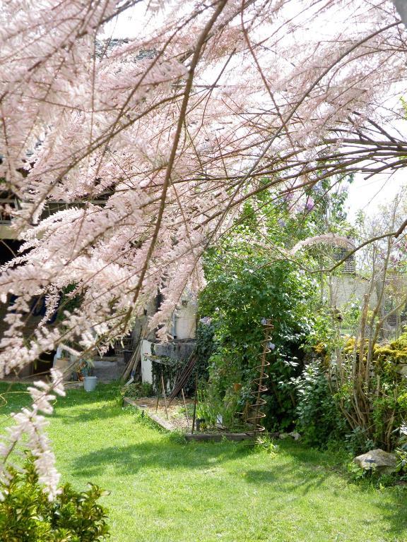 La Maison De Louna Panzió Salles-Courbatiès Kültér fotó